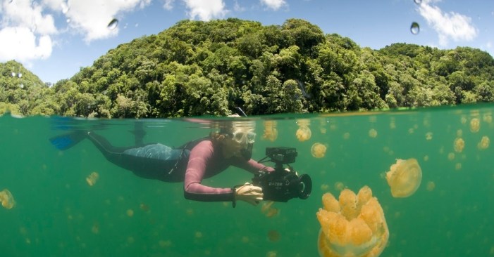 Berenang Bersama Ubur-ubur Di Pulau Kakaban | Niagakita