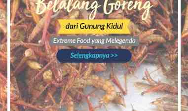 Belalang Goreng, Extreme Food from Gunungkidul