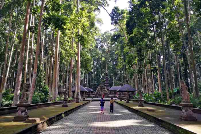 Monkey Forest Sangeh