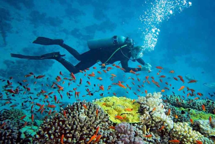 Derawan islands 5 days Diving trip via Berau - Melampa Indonesia