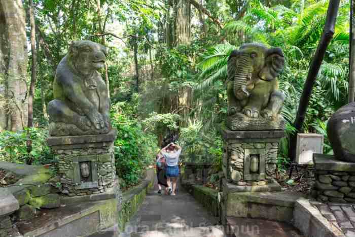 Monkey Forest Ubud