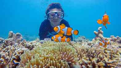 Paket Wisata 2H1M Bromo & Gili Ketapang