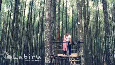 3H2M Honeymoon Jogja Hemat, Nature & Adventure