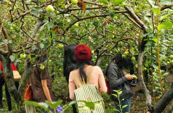 liburan bromo malang