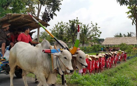tempat outbound di jogja