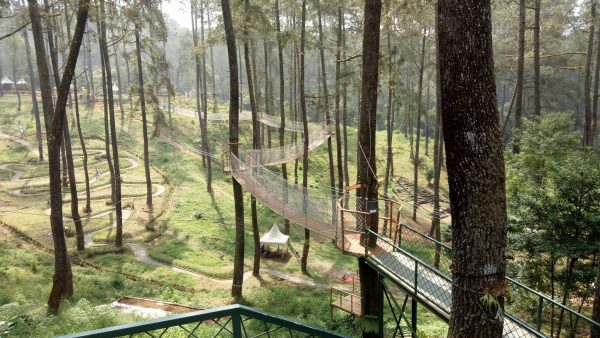 outbound orchid forest lembang