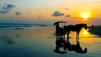 3H2M Nature Heritage Educational Family Tour Jogja