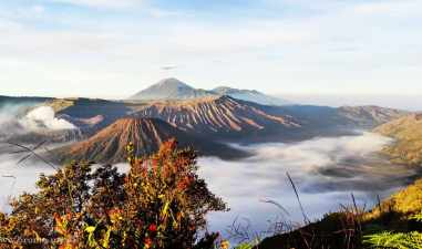 Bromo 2025: 10 Lokasi Fotogenik yang Bikin Betah Lama