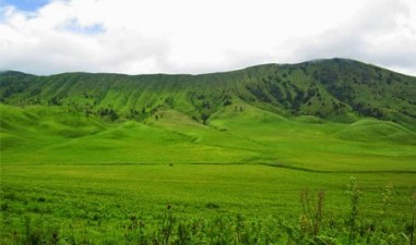 Luas Biasa ! Ini Dia Padang Savana di Indonesia yang Eksotisnya Kelewatan