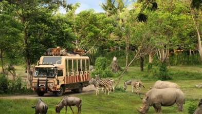 Paket Wisata Bali 4 Hari 3 Malam – Belum Termasuk Tiket Pesawat