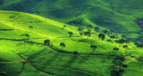 wisata alam di bandung