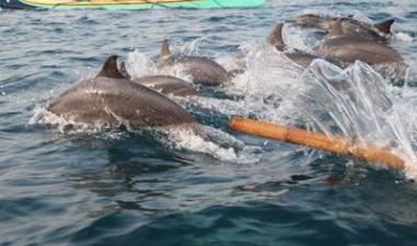 Tak Hanya Kopinya, Ini dia Destinasi Wisata di Lampung Yang Harus Kamu Kunjungi