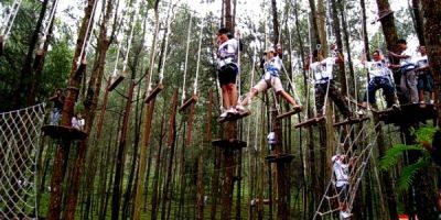 Outbound Kopeng Treetop