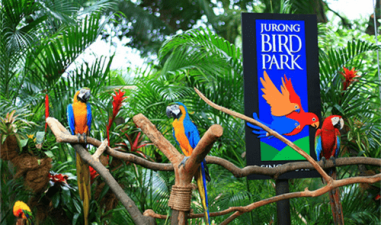 Bali Bird Park – Taman Burung dengan Koleksi Burung Langka Terlengkap di Indonesia