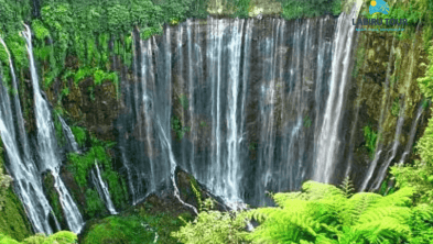 One Day Adventure Tumpak Sewu Waterfall