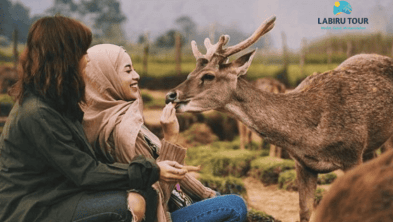 Gathering Bandung Lembang Ciwidey 3 Hari 2 Malam