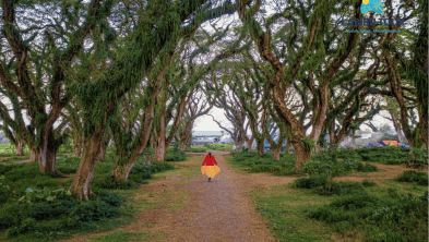 Paket Ekonomis Corporate Gathering Banyuwangi 2 Hari 1 Malam