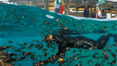 Paket Ekonomis Corporate Gathering Banyuwangi 4 Hari 3 Malam