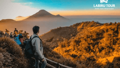 One Day Tour Dieng Sunrise